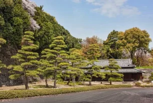 10 Top Japanese gardens to visit