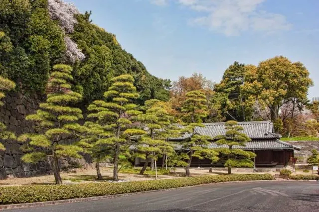 10 Top Japanese gardens to visit