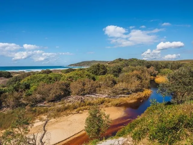 12 Awesome Things to do in Yamba, NSW