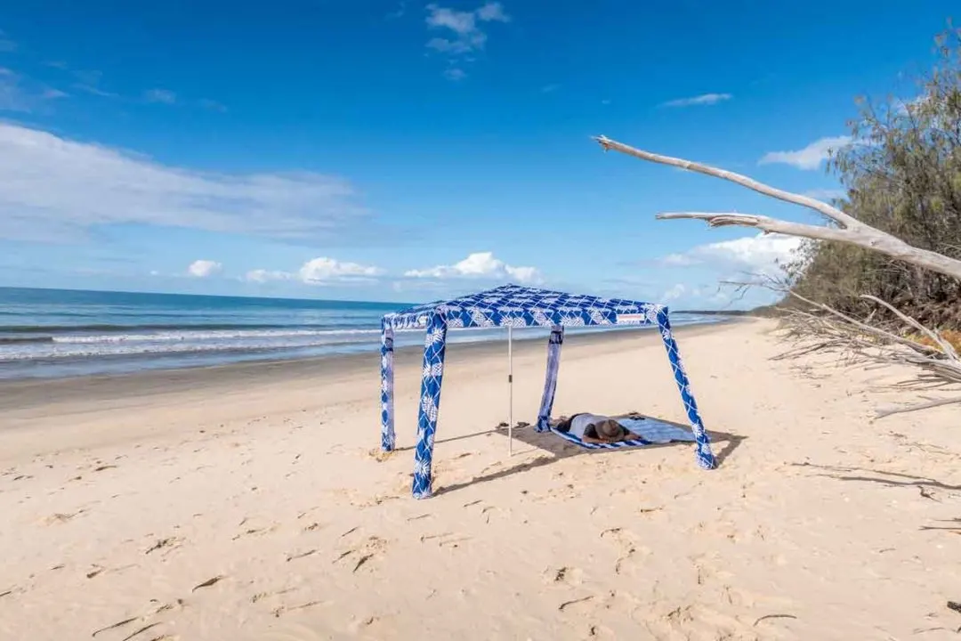 14 Fun Things to Do in Bundaberg