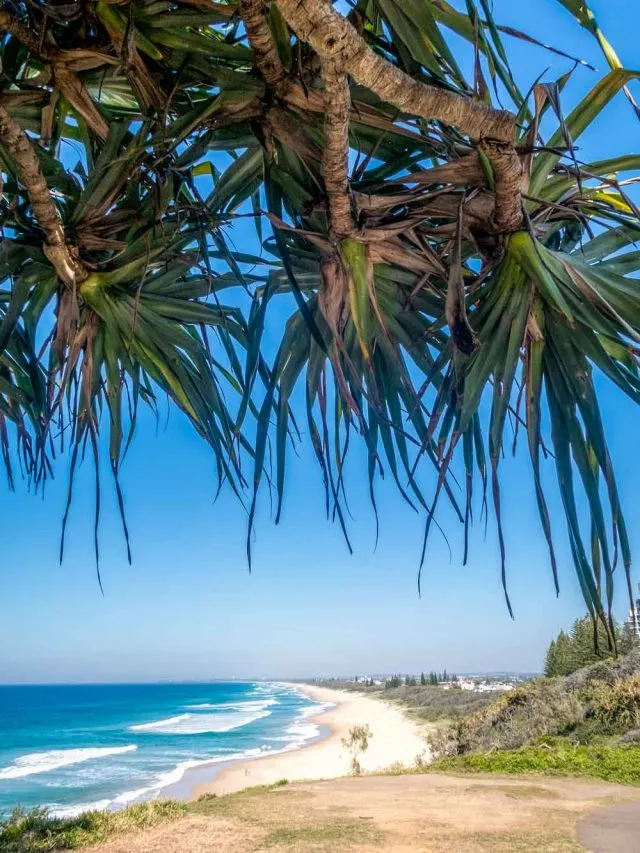 16 best things to do in Mooloolaba | visitors guide