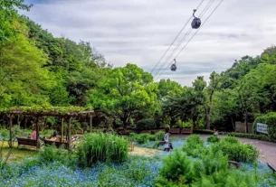 16 of the best day trips from Kyoto