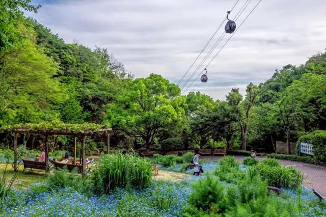 16 of the best day trips from Kyoto