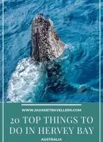 20 fabulous things to do in Hervey Bay