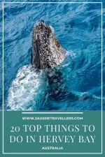 20 fabulous things to do in Hervey Bay
