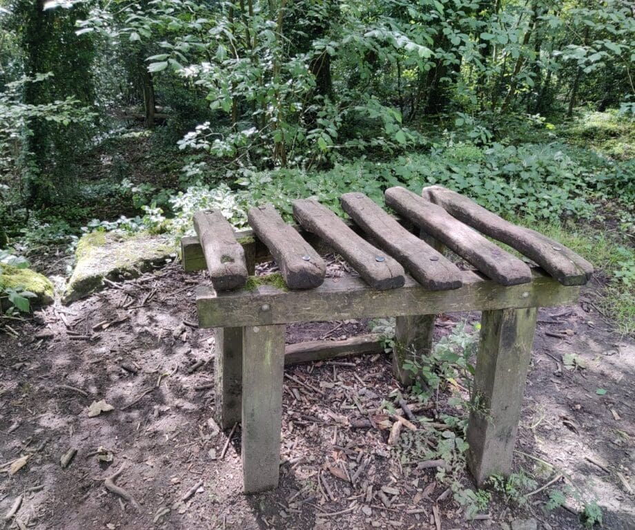 Serpentine Woods Alphabet Trail xylophone