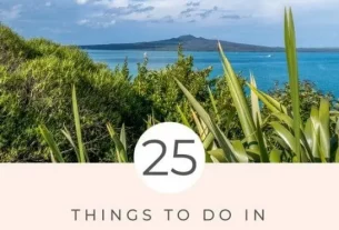 26 Fun Things to do in Auckland