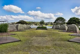 5 reasons to visit Cockatoo Island, Sydney