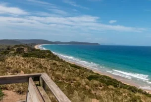 A Bruny Island day trip for the travelling foodie