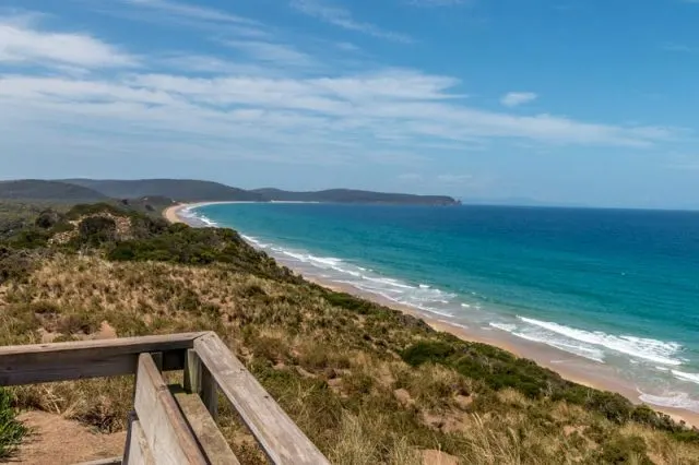 A Bruny Island day trip for the travelling foodie