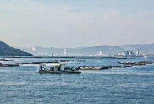 A Visitors Guide to Miyajima Island
