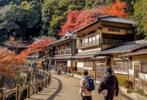 An autumn leaves visit to Minoo Park and Falls in Osaka
