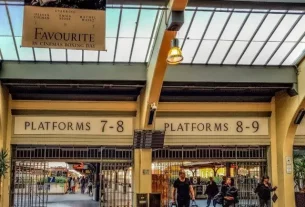 Auckland to Wellington train trip | Northern Explorer