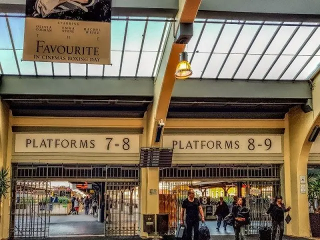 Auckland to Wellington train trip | Northern Explorer