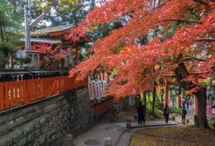 Autumn in Japan – Exploring the Golden Route