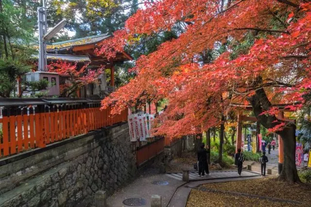 Autumn in Japan – Exploring the Golden Route