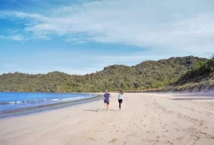 Best beaches in New Zealand