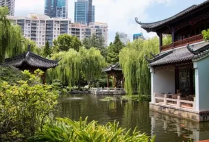 Celebrate an Amazing Chinese New Year in Sydney
