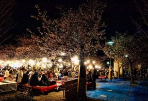Cherry Blossom in Kyoto: 15 best locations to vist