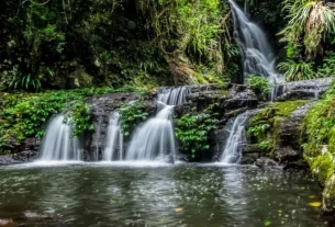 Elabana Falls Walk | Lamington NP