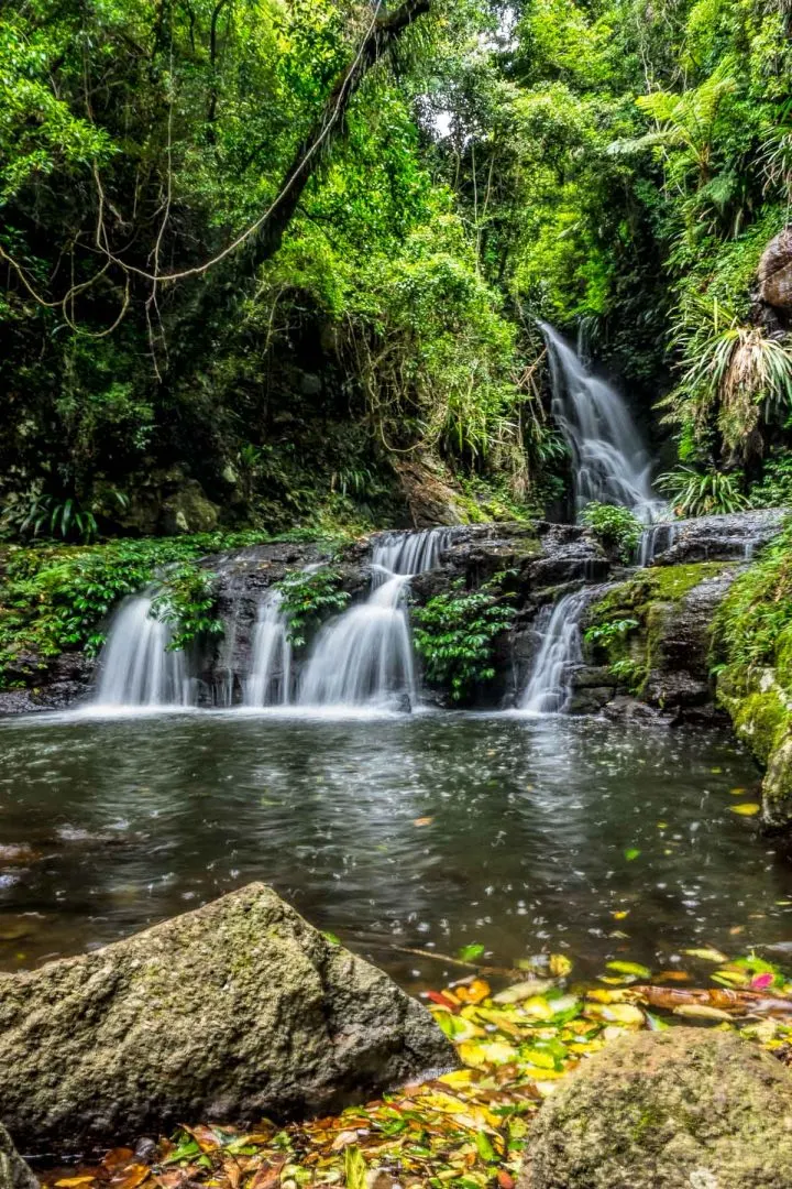 Elabana Falls Walk | Lamington NP