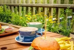 Experience New Zealand birds in the wild at Zealandia Sanctuary