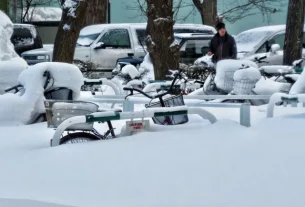 Exploring the Sapporo Snow Festival