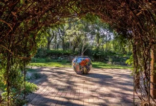 Indigiscapes – a bushland oasis in Brisbane