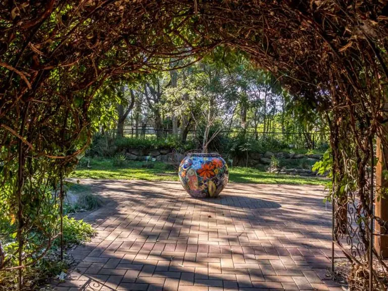 Indigiscapes – a bushland oasis in Brisbane