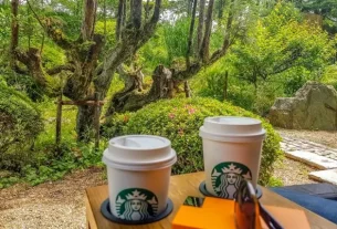 Internet in Japan for tourists - staying connected is easy