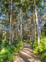 Maroochy Botanic Gardens – Sunshine Coast