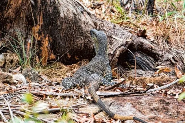 Nature and History at White Rock Conservation Park