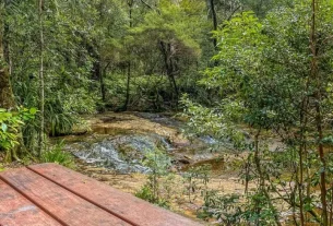 Stunning Springbrook waterfalls and picnic spots