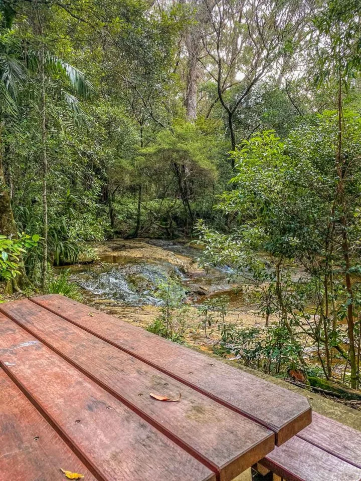 Stunning Springbrook waterfalls and picnic spots