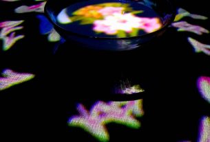 teamLab BORDERLESS where fun fuses with art in Tokyo