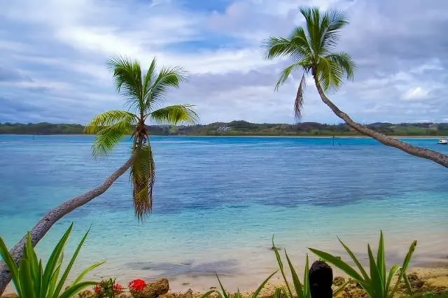 The 5 Top Fiji Experiences All Travellers Must Try