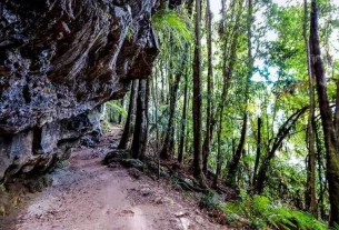 The Australian Walking Track Grading System