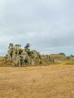 The best things to do in Waitomo, New Zealand