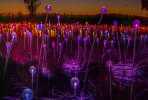 The best Uluru dinner experiences