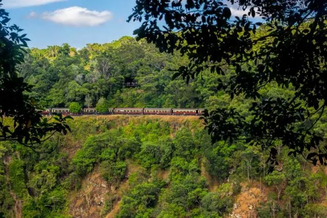 The Skyrail Rainforest Cableway and other fun things to do in Kuranda