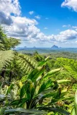 Things to do in Maleny | Day trip and weekender ideas