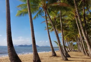 Things to do in Palm Cove and Far North Queensland