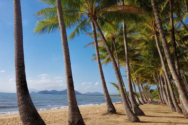 Things to do in Palm Cove and Far North Queensland