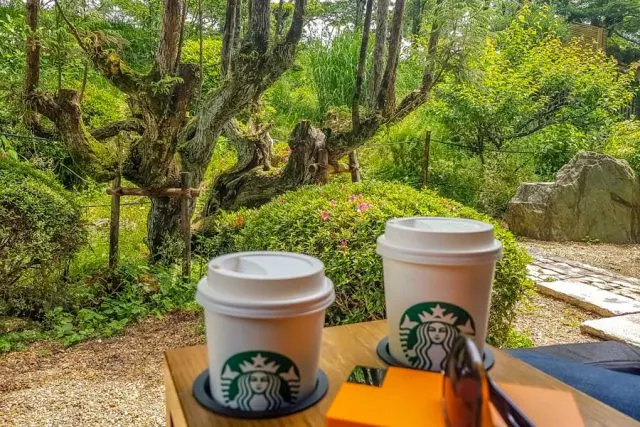 Things to do in Uji | Day Trip