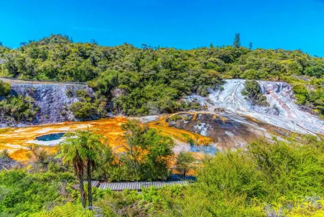 Which Rotorua Geothermal Park to Visit