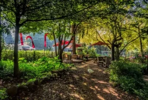 William Ricketts Sanctuary – incredible art in a natural setting